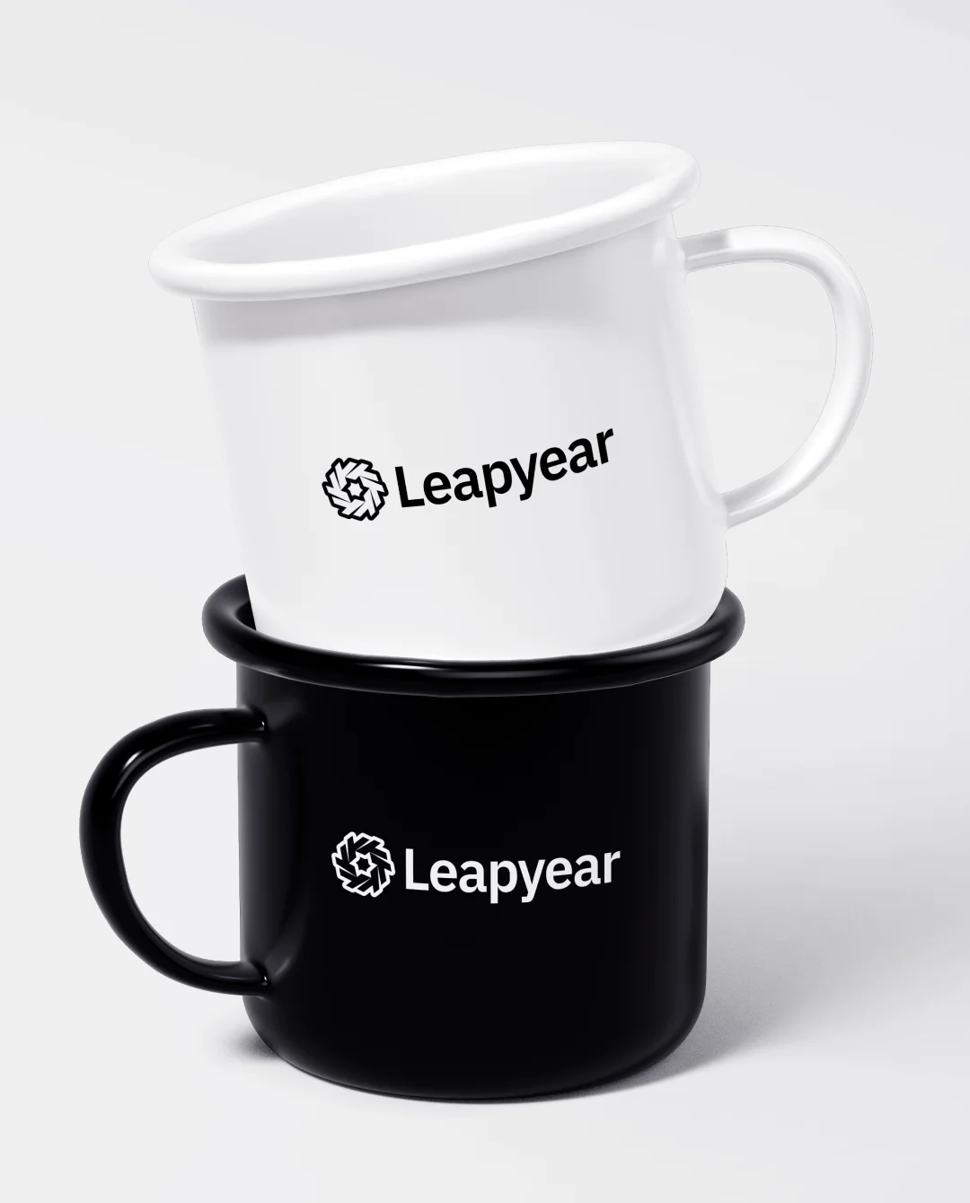 leapyear-mugs